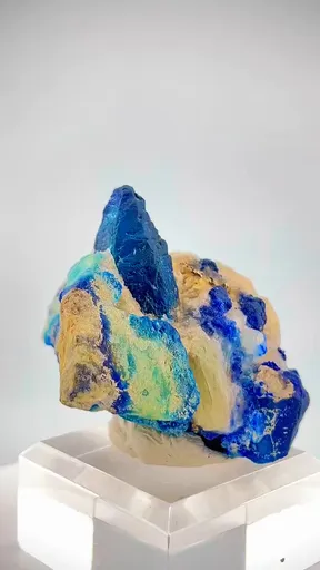 specimen video