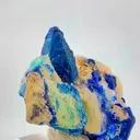 specimen video