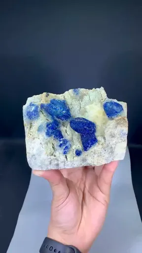 specimen video