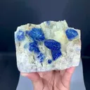 specimen video