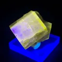 Fluorescent Fluorapatite from Pakistan - image 4