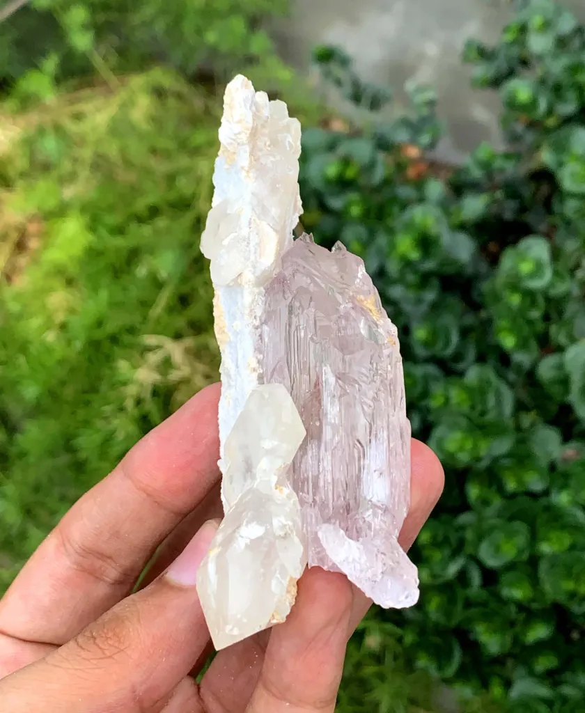 Fluorescent Pink Kunzite with Mountain Shape Terminations on Quartz from Afghanistan - image 3