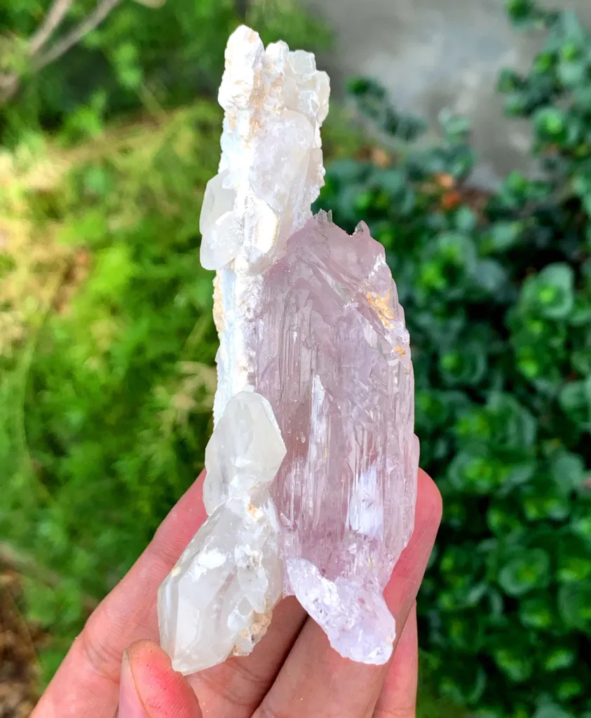 Fluorescent Pink Kunzite with Mountain Shape Terminations on Quartz from Afghanistan image