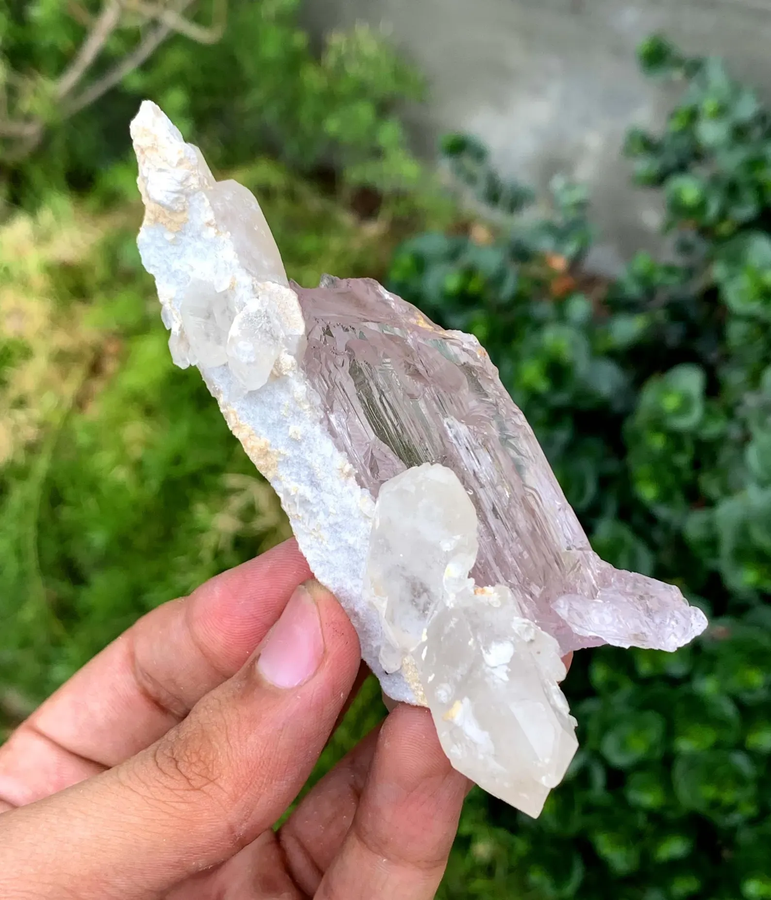 Fluorescent Pink Kunzite with Mountain Shape Terminations on Quartz from Afghanistan - image 4