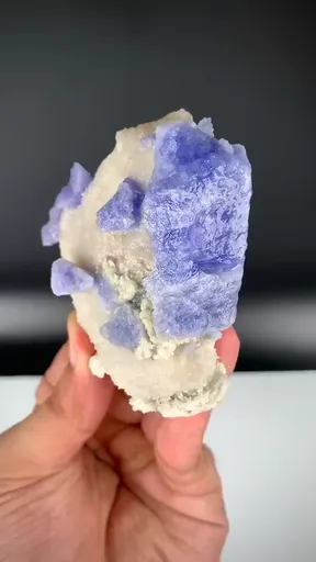 specimen video