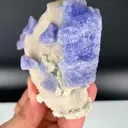 specimen video