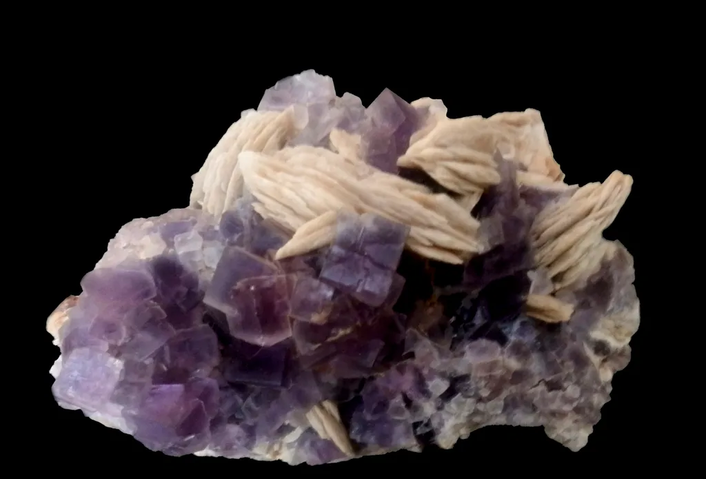 Fluorine / bayte: Berbès, La Cabana, Ribadella, Asturies, Espagne image