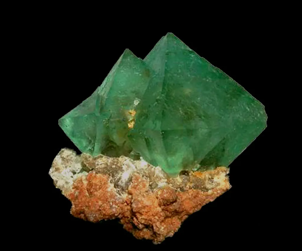 Fluorine Rieuvesmak