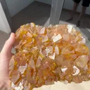 specimen video