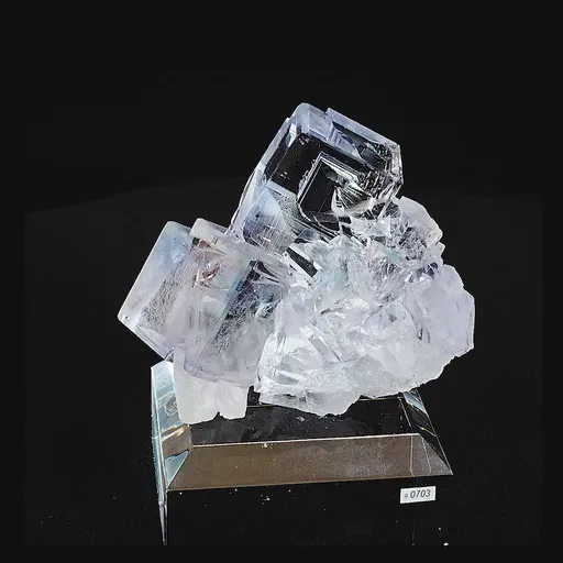 specimen video