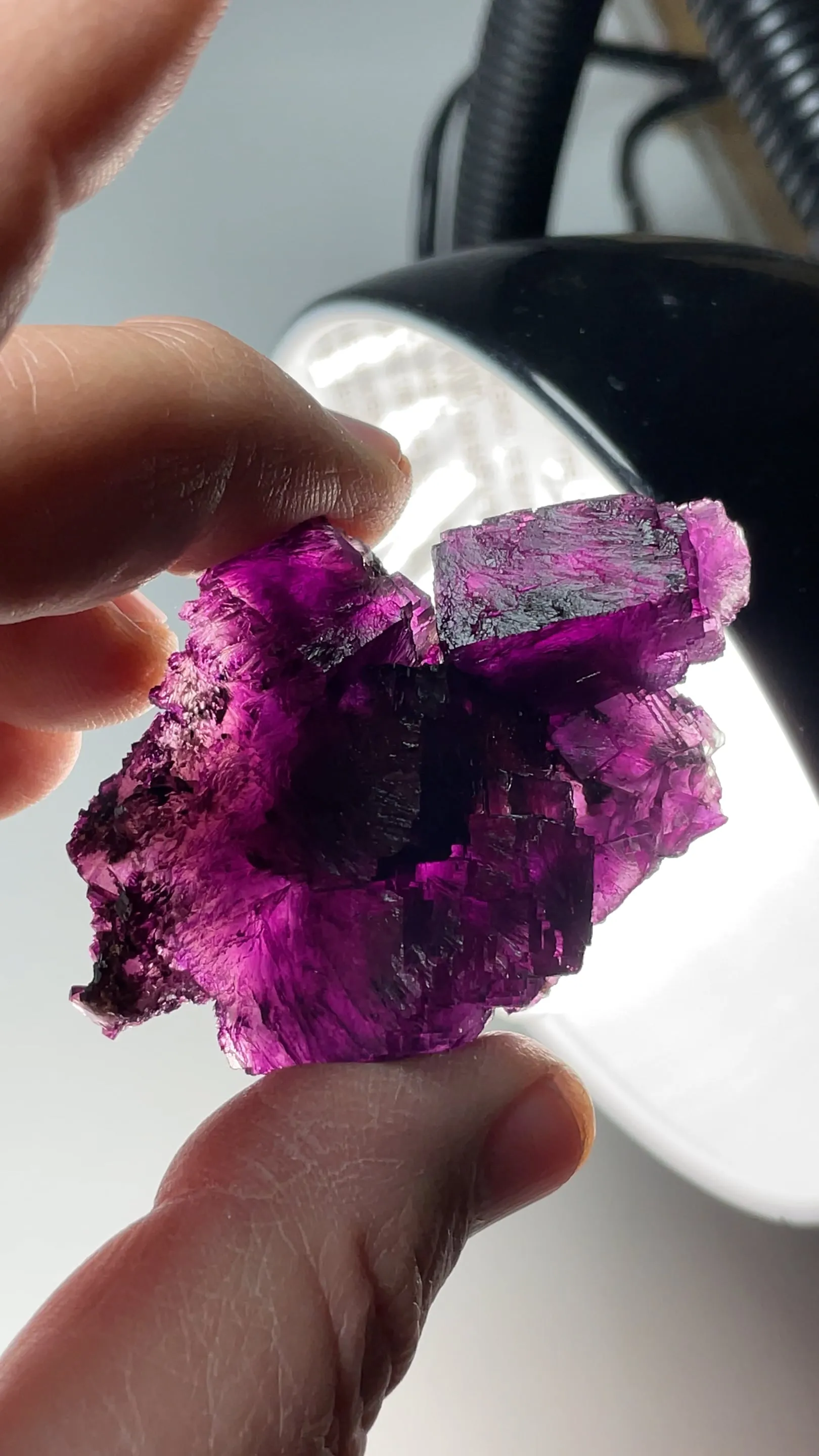 Fluorite - image 2