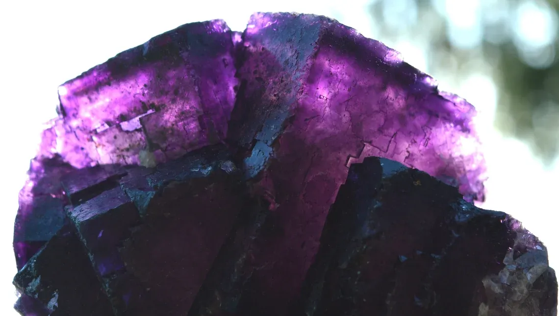 Fluorite 1550 grams - Melchor Múzquiz, Múzquiz Municipality, Coahuila, Mexico - image 10