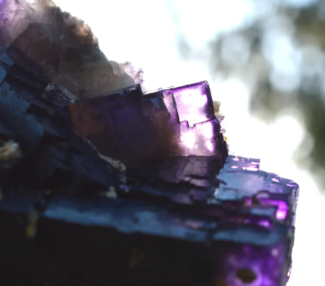 Fluorite 1660 grams - Melchor Múzquiz, Múzquiz Municipality, Coahuila, Mexico - image 9