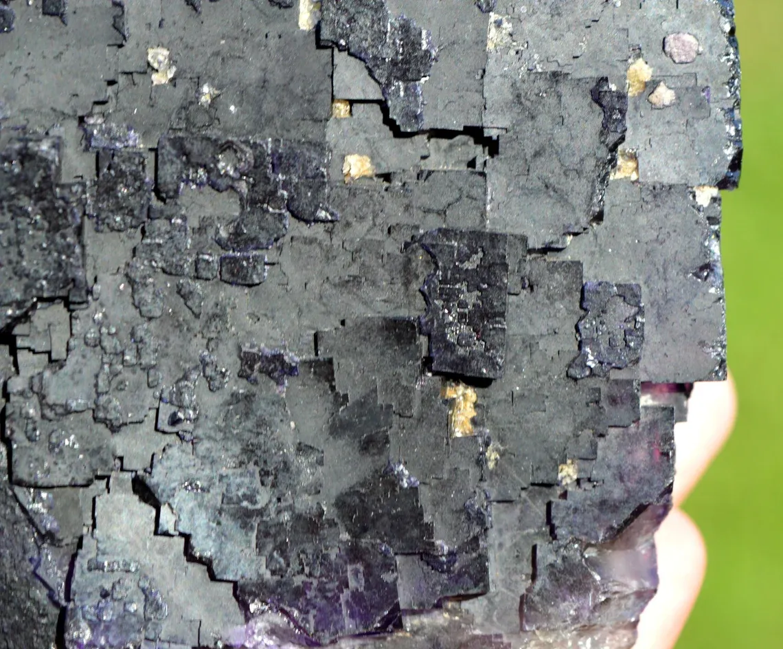 Fluorite 1660 grams - Melchor Múzquiz, Múzquiz Municipality, Coahuila, Mexico - image 6