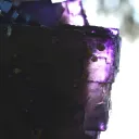 Fluorite 1660 grams - Melchor Múzquiz, Múzquiz Municipality, Coahuila, Mexico - image 8