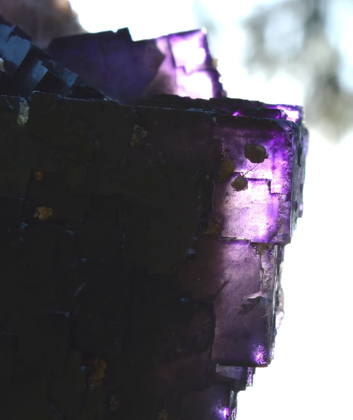 Fluorite 1660 grams - Melchor Múzquiz, Múzquiz Municipality, Coahuila, Mexico - image 8