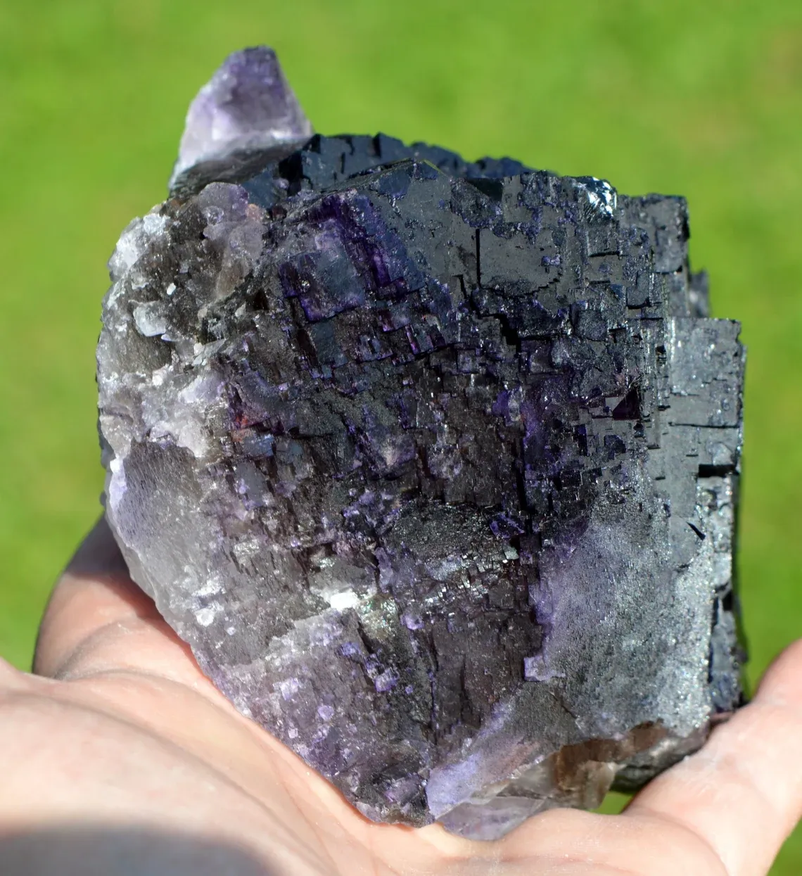 Fluorite 1660 grams - Melchor Múzquiz, Múzquiz Municipality, Coahuila, Mexico - image 2