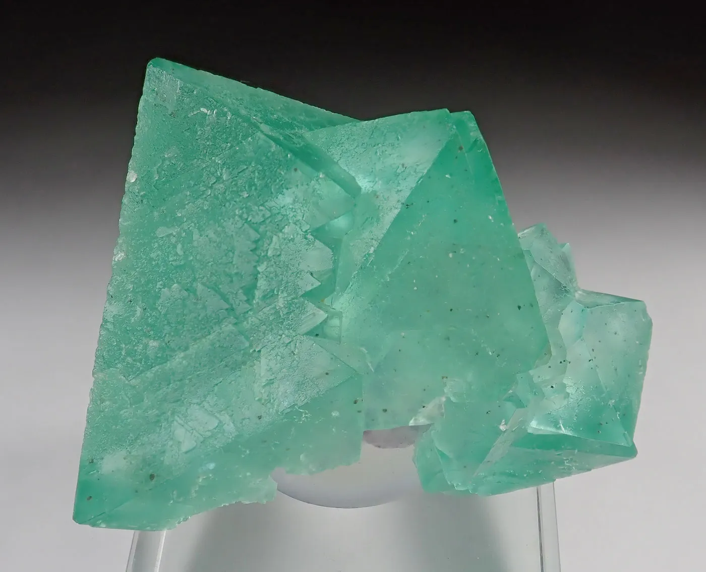 Fluorite - image 1