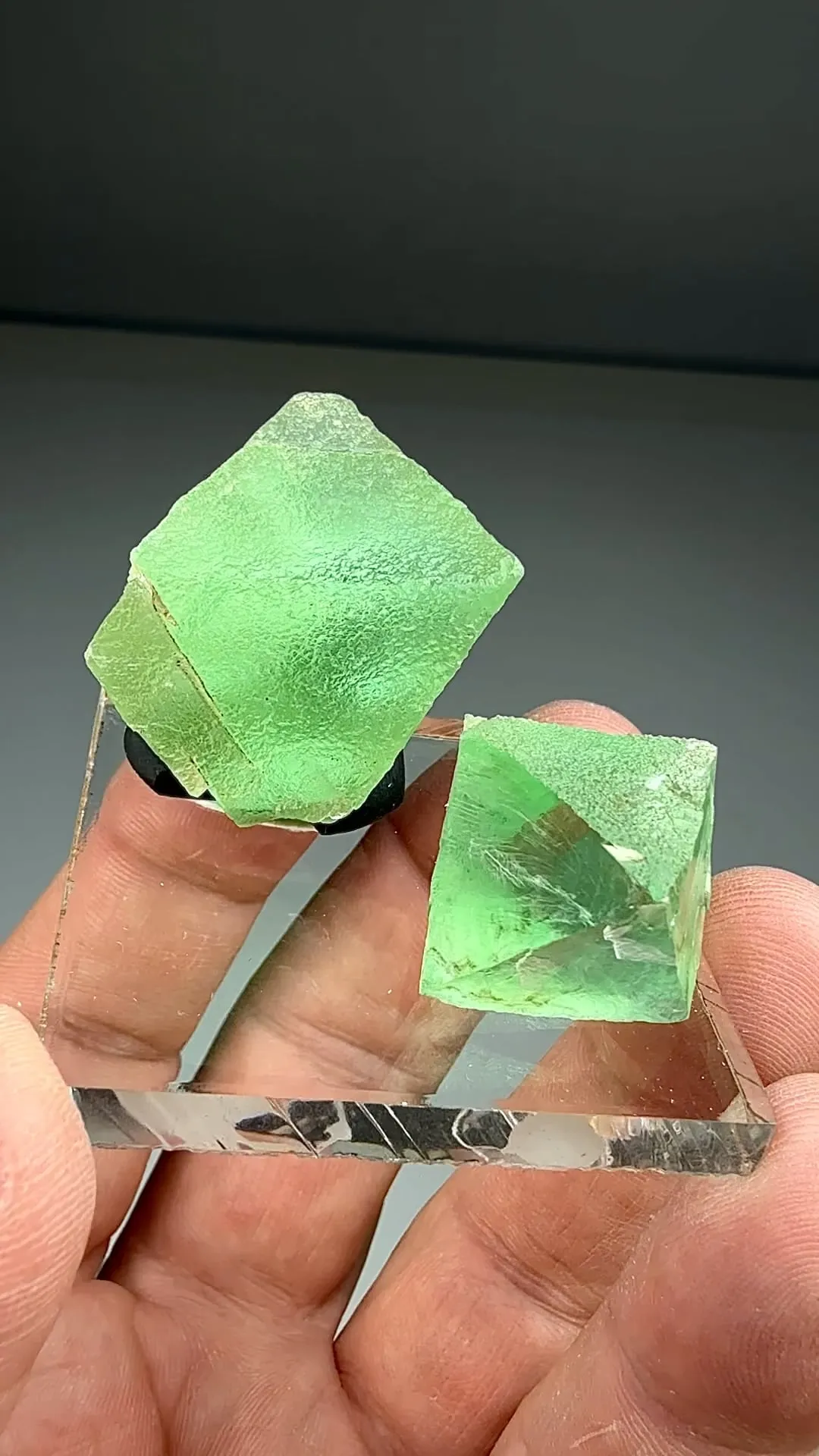 Fluorite (2145) - image 2