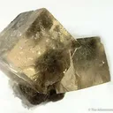 Fluorite - image 2
