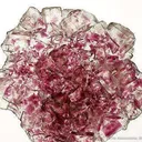 Fluorite - image 3