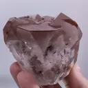 specimen video