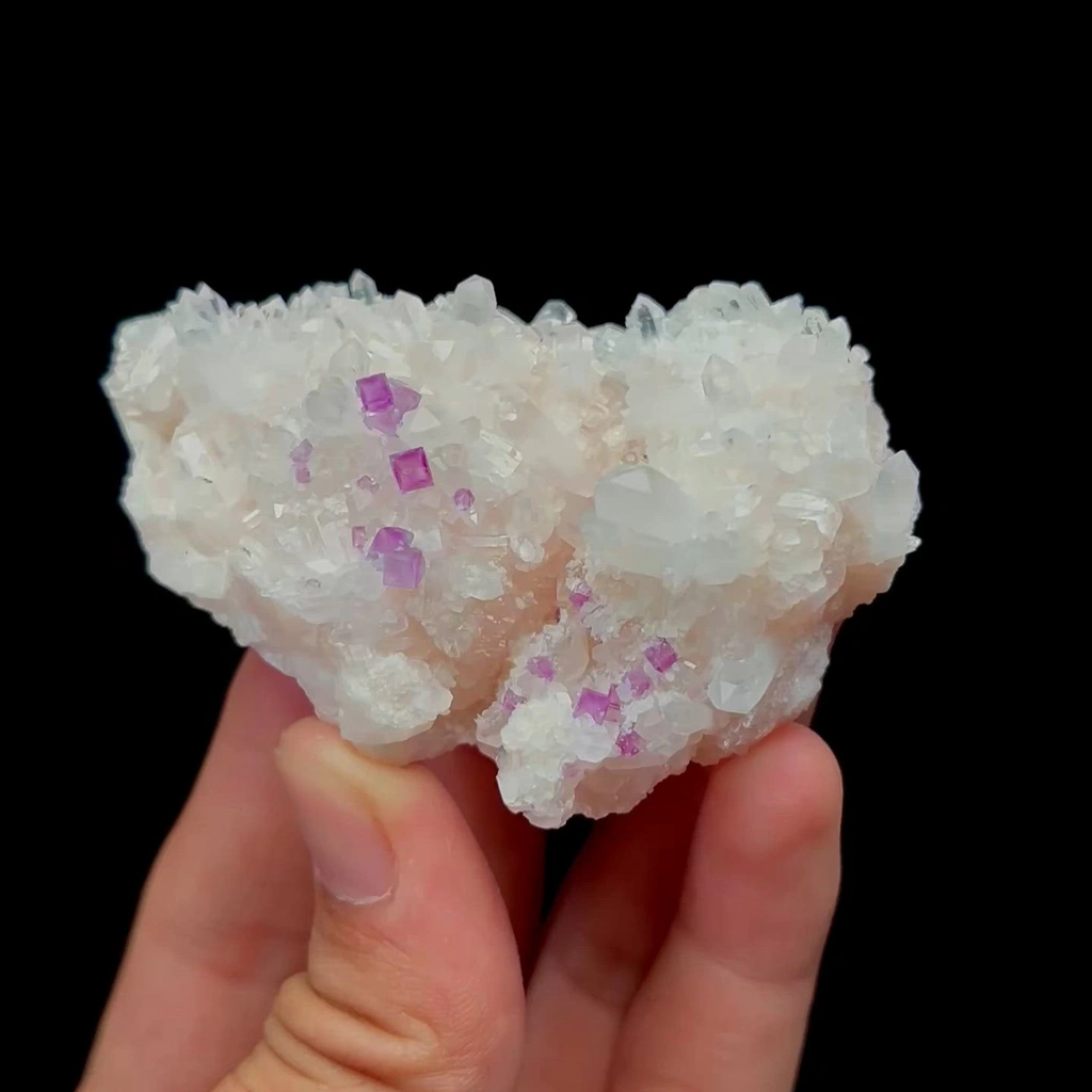 specimen video