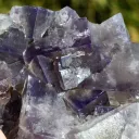 Fluorite 324 grams - Greenlaws Mine, Daddry Shield, Stanhope, UK - image 6
