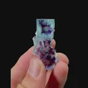 specimen video