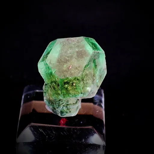specimen video