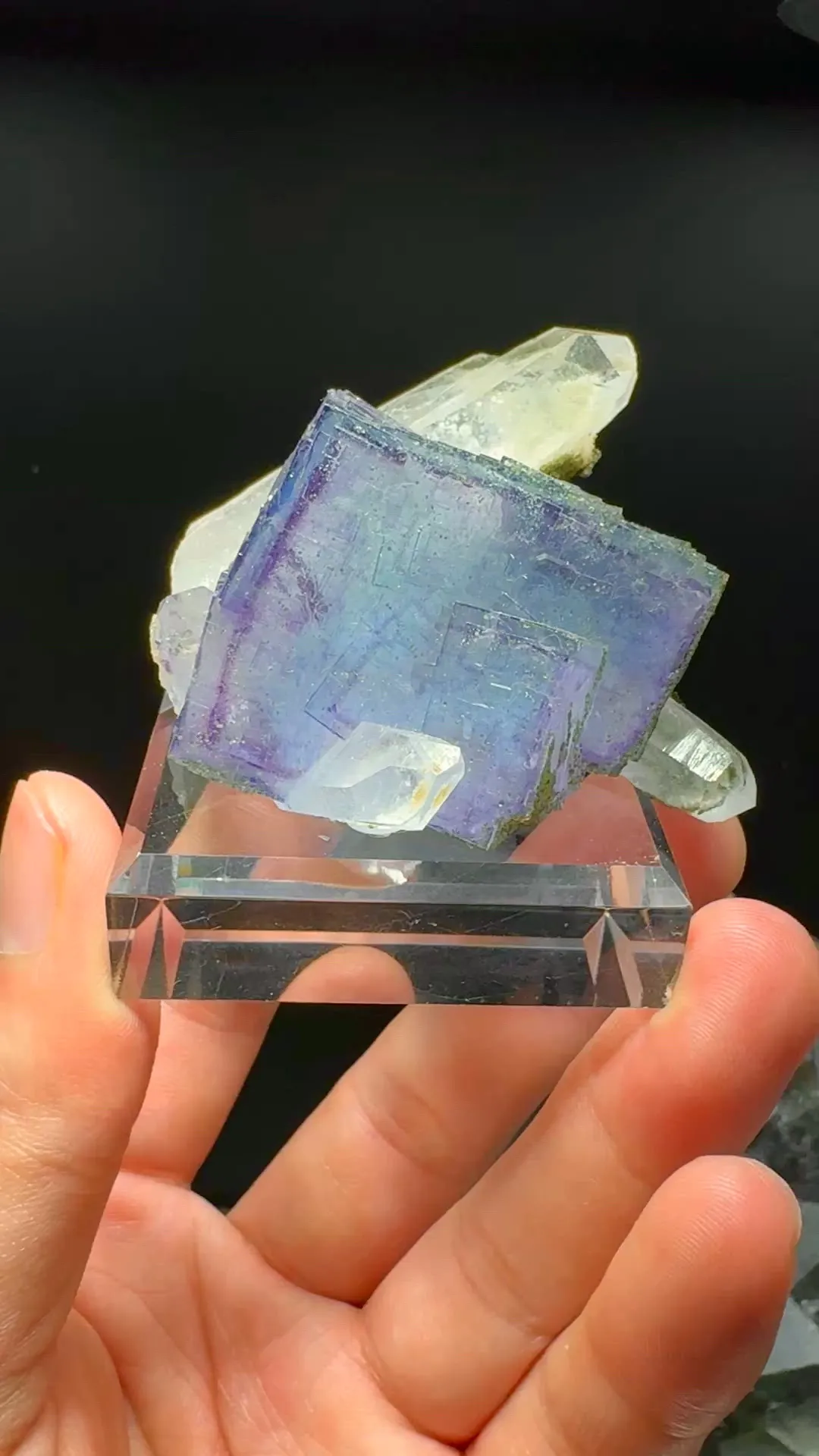 specimen video