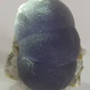 Fluorite - image 1