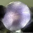 Fluorite - image 2