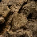Fluorite - image 3