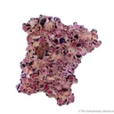 Fluorite - image 2