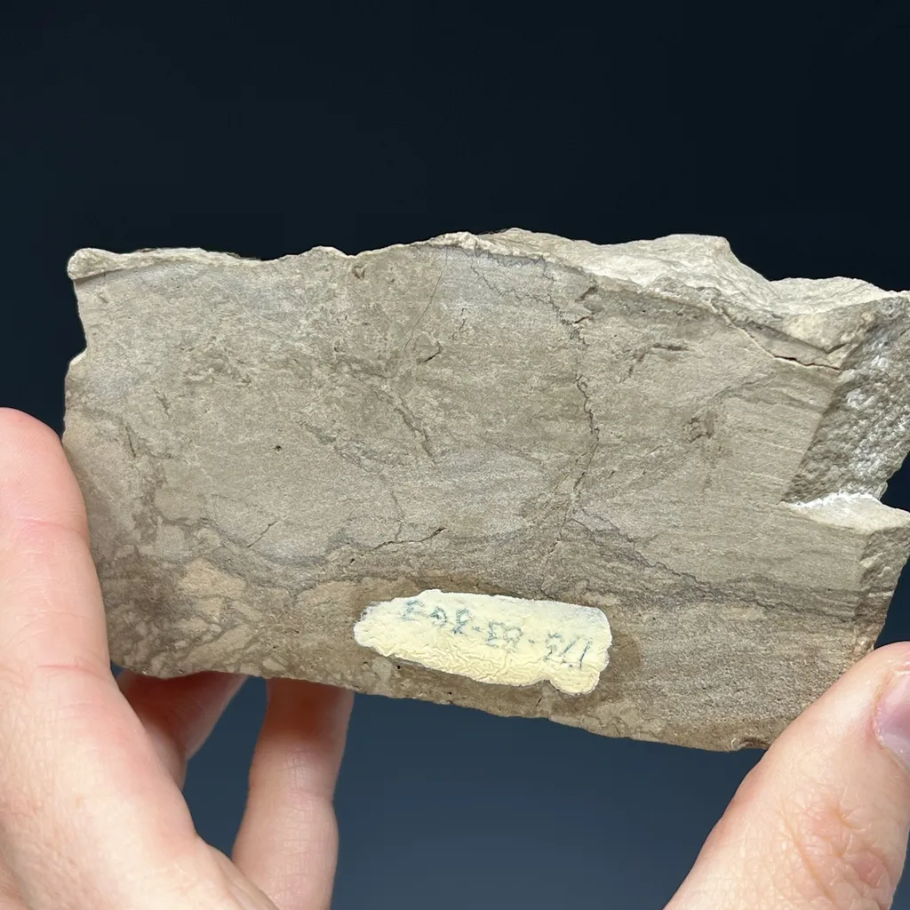 Fluorite - image 5