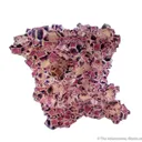 Fluorite - image 3