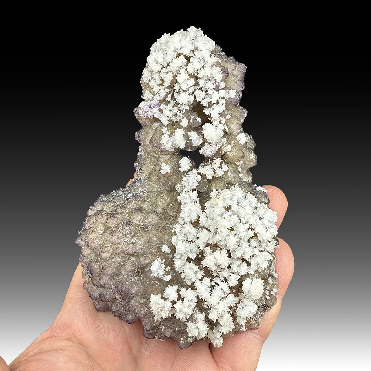 Fluorite after Calcite with Calcite - image 1