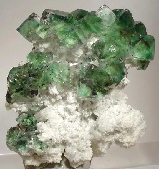 Fluorite, Albite image