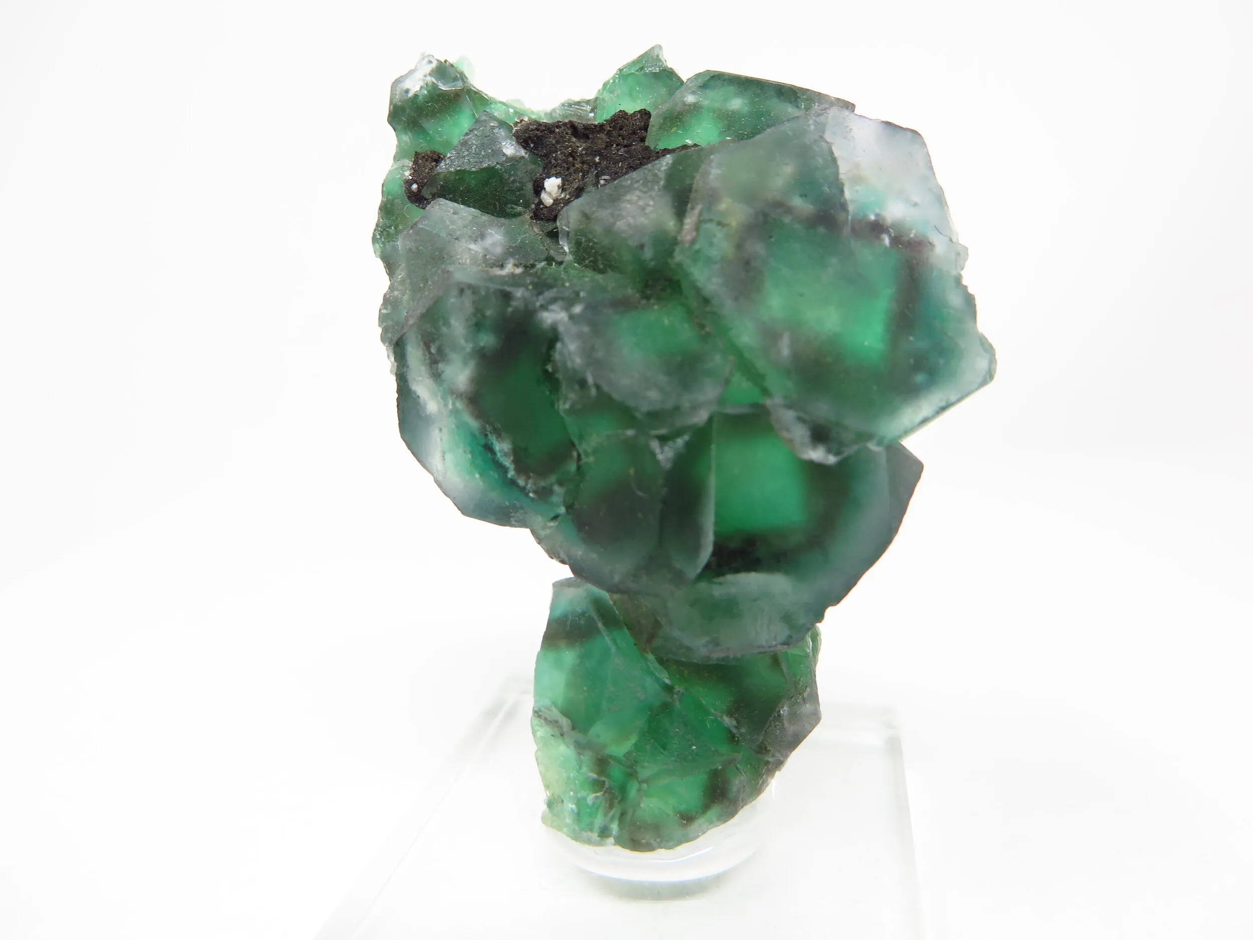 Fluorite "Alien Eye" - image 4