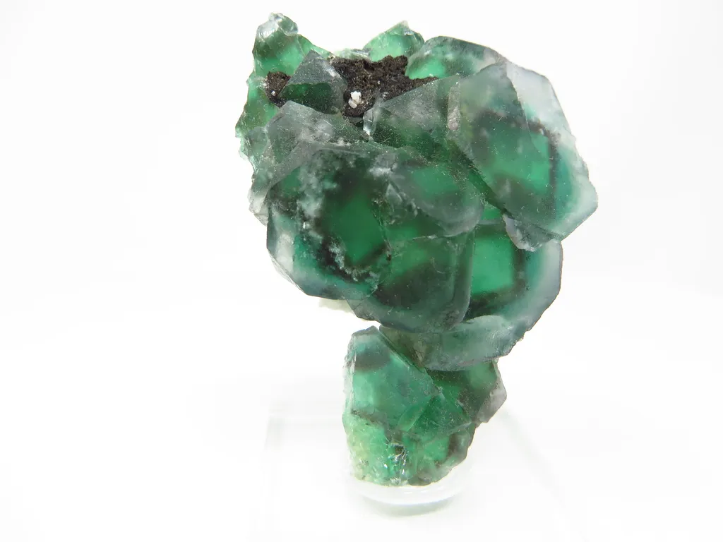 Fluorite "Alien Eye" image