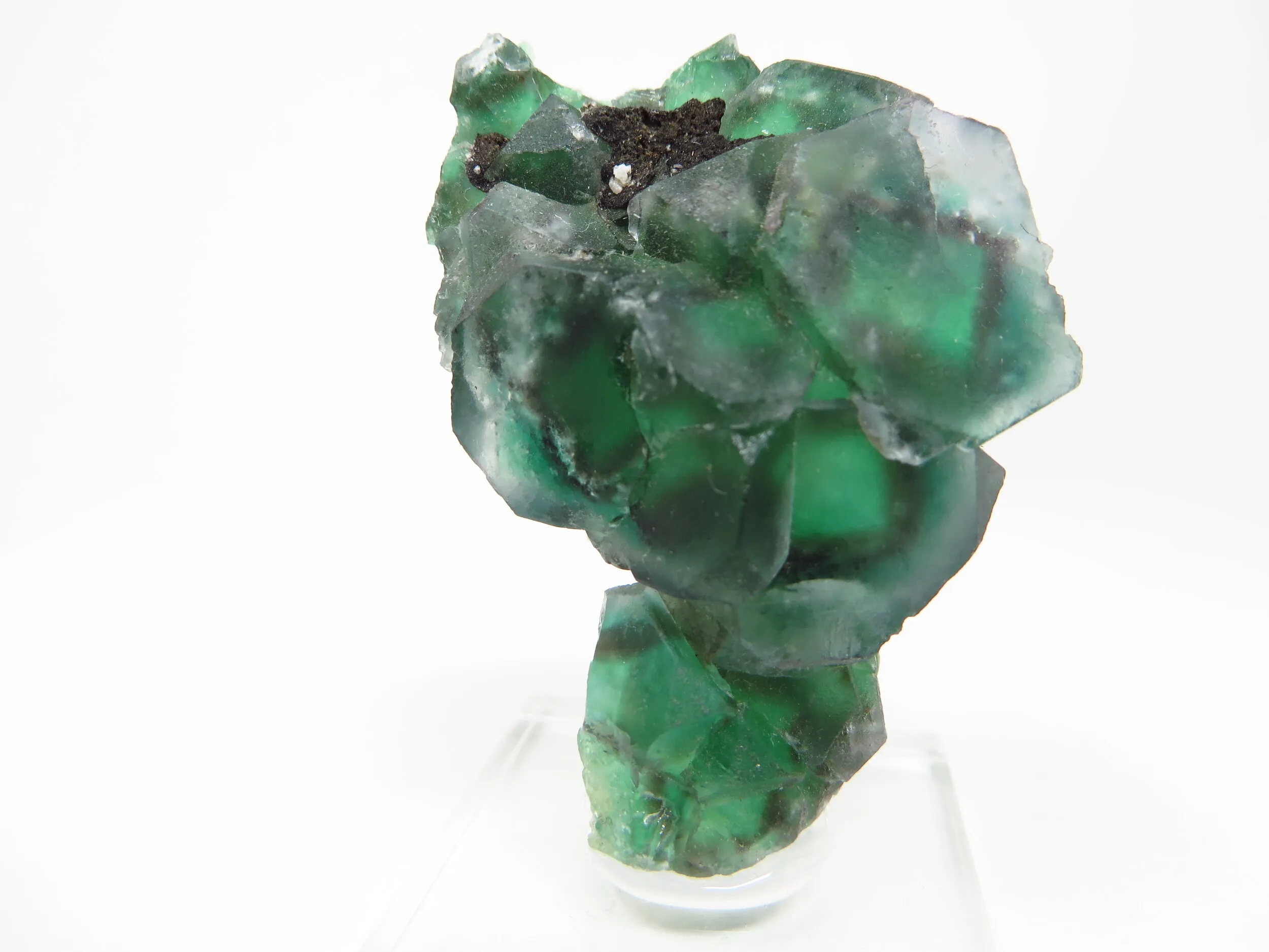 Fluorite "Alien Eye" - image 3
