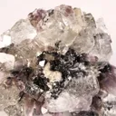 Fluorite and Amethyst on Galena - image 3