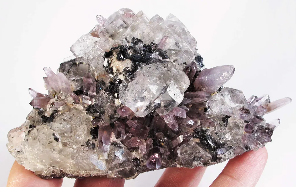 Fluorite and Amethyst on Galena image