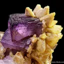 Fluorite and Calcite (both fluorescent) - image 5