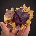 Fluorite and Calcite (both fluorescent) - image 2