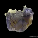 Fluorite and Calcite - image 5