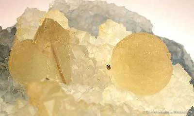 Fluorite and Calcite on Quartz Stalactites, in Geode - image 3
