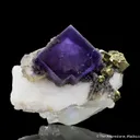 Fluorite and Chalcopyrite on Quartz - image 3
