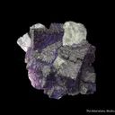 Fluorite and Galena - image 3